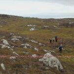 Guide nature en Irlande