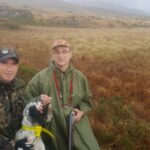 Train one's dog with woodcock in Ireland