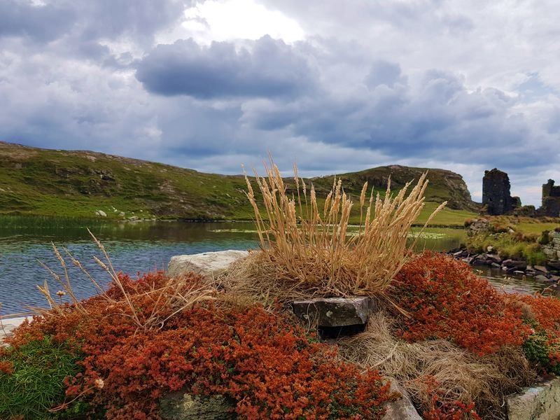 les chateaux d Irlande