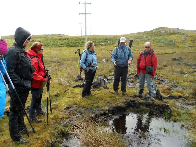 Explication des tourbieres d Irlande