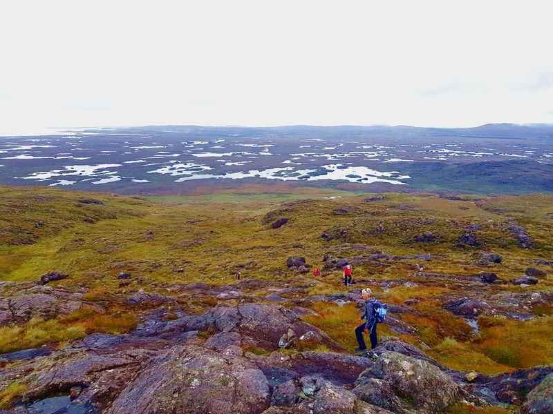 guide découverte tourbieres connemara