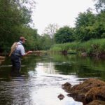 Rivieres pour la truite en Irlande