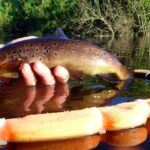 A la mouche en Irlande