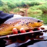 Ou pecher la truite en Irlande