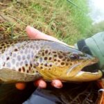 Ou pecher la truite en Irlande