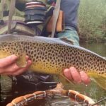 Peche mouche truite Irlande