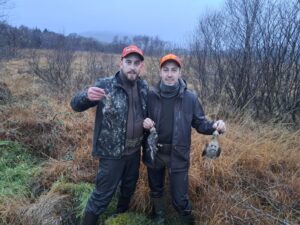 Becassine et becasse chien d'arret Irlande