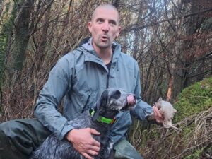bilan saison chasse Irlande 2026