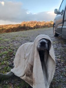 Resume chasse becasse Irlande