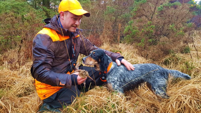 Bilan saison de chasse en Irlande