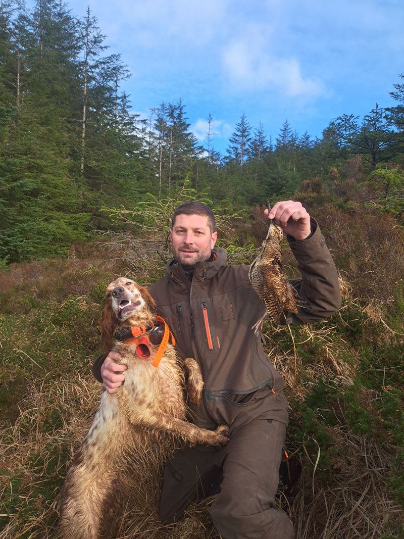 Bilan saison chasse bécasse Irlande