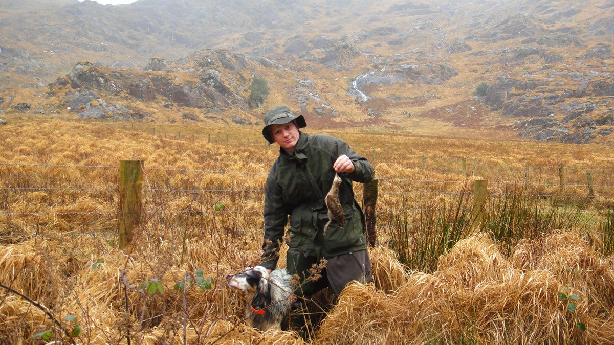 Chasse à la bécassine en Irlande