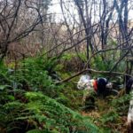 Hiking/Fishing in Ireland