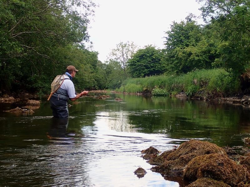 Rivieres pour la truite en Irlande