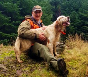 Chasse bécasse setter Irlande