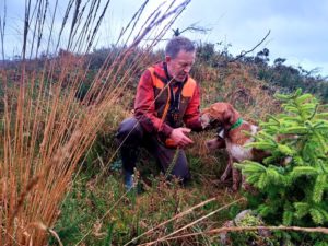 Chasse sportive bécasse en Irlande