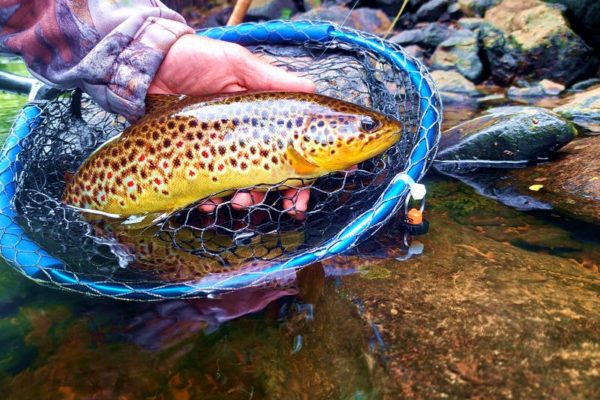 Guide peche francophone  Irlande Séjours pêche itinérant Irlande