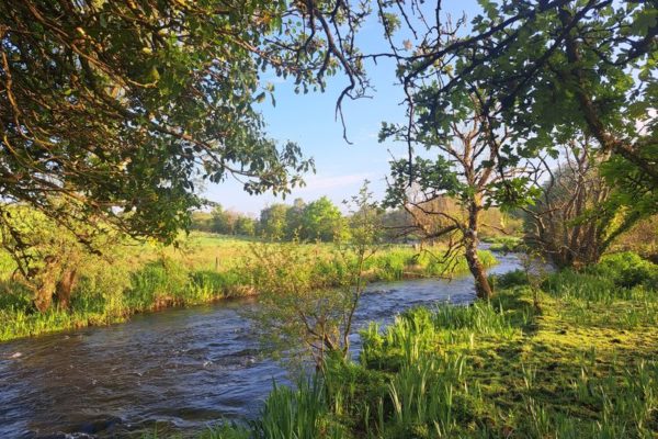 Guide mouche Irlande Séjour pêche mouche itinérant Irlande
