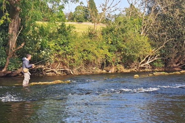 Guide truite mouche en Irlande Voyage truite mouche en Irlande