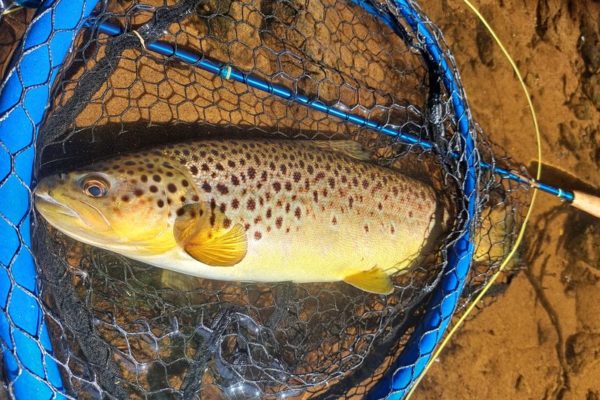 Guidage peche mouche en Irlande Vacances pêche mouche en Irlande